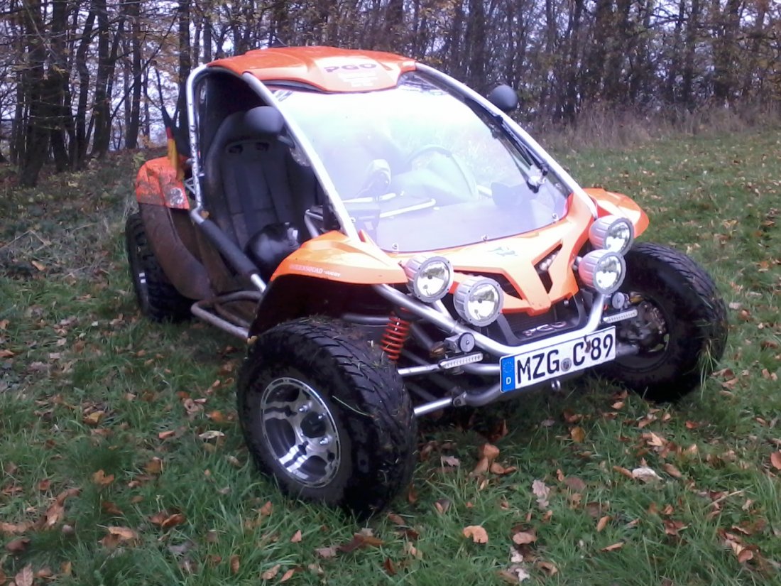 MEIN Buggy 2013